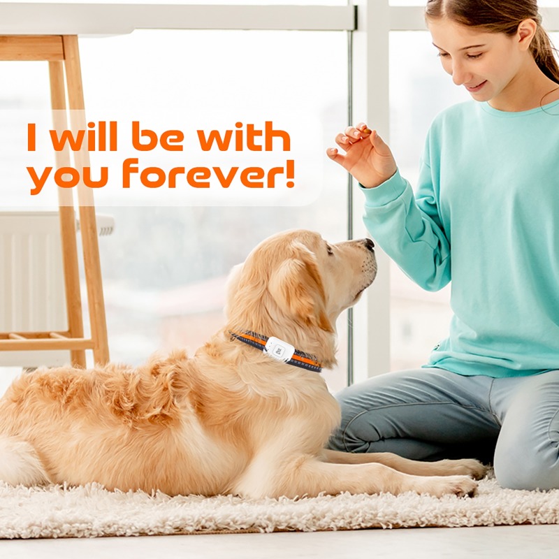 ペットGPS AGPS追跡デバイス 4GペットGPSトラッカ - Pet Supplies Discount のレビューと価格