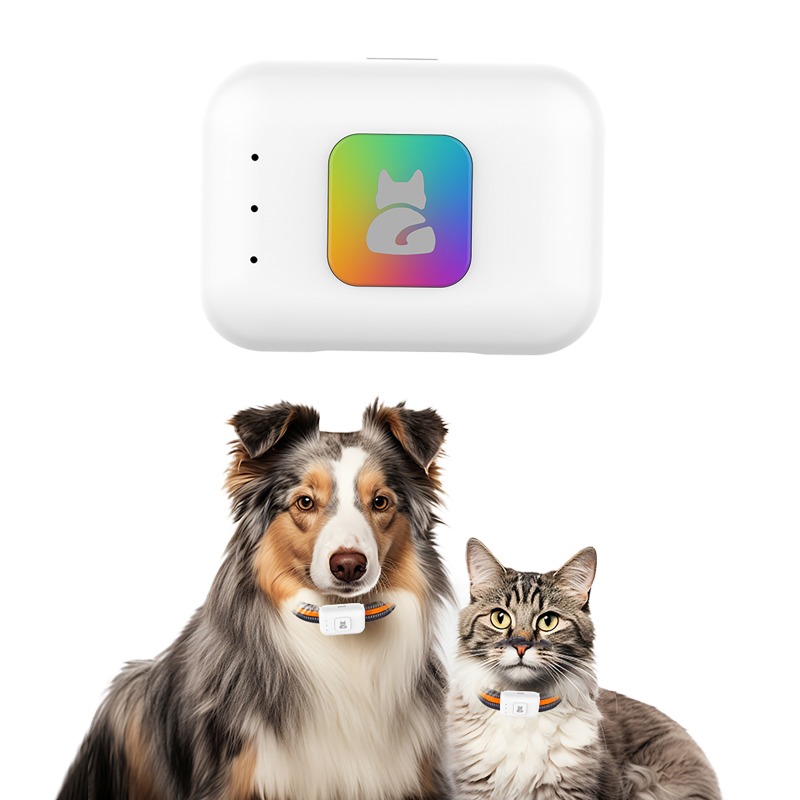 ペットGPS AGPS追跡デバイス 4GペットGPSトラッカ - Pet Supplies Discount のレビューと価格