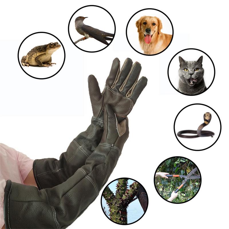 ペット用保護手袋,非合成皮革,猫,犬,庭用,トレーニング用, - Pet Grooming Glove のレビューと価格