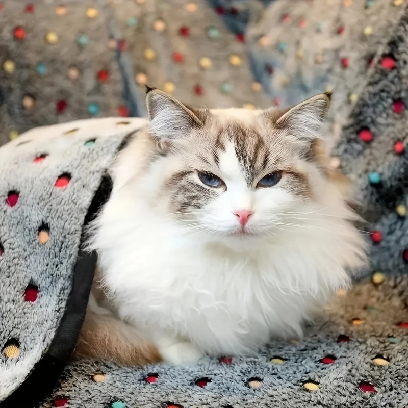 3枚セット ソフトふわふわペットブランケット 可愛いドット柄 - Pet Supplies Discount のレビューと価格