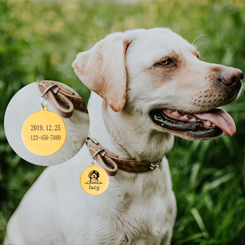 カスタムペット名入り子犬用迷子防止首輪　可愛い彫刻入りステン - Pet Supplies Discount のレビューと価格