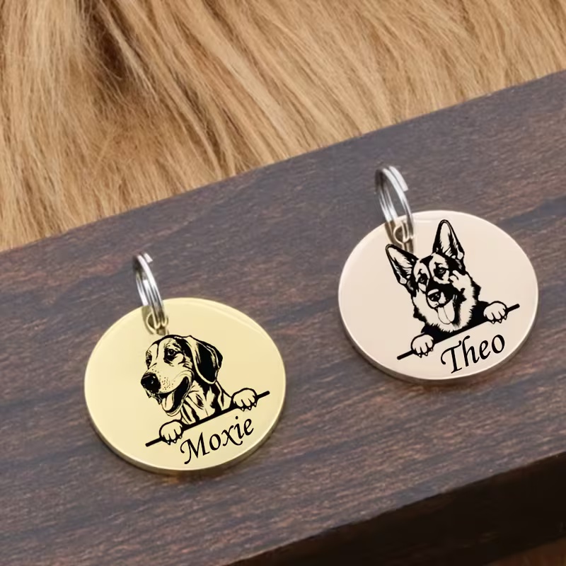 カスタムペット名入り子犬用迷子防止首輪　可愛い彫刻入りステン - Pet Supplies Discount のレビューと価格